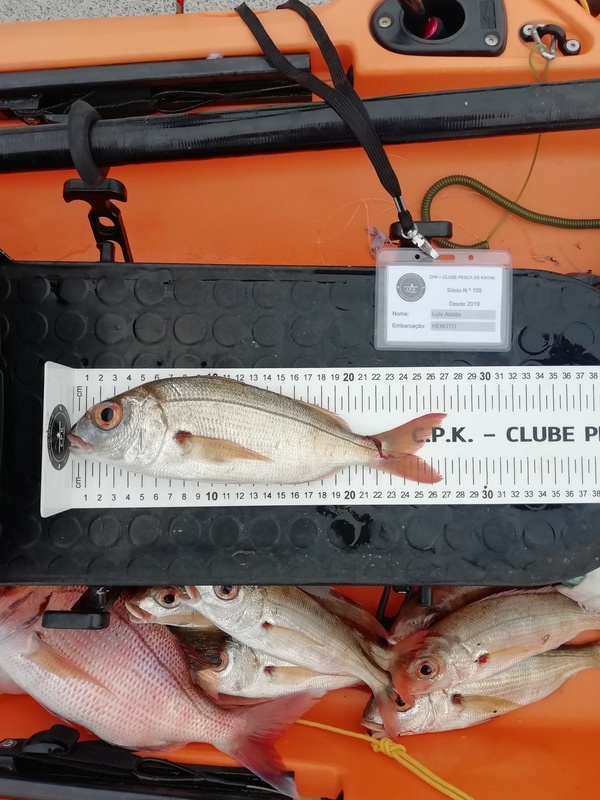 Fish Measure Picture